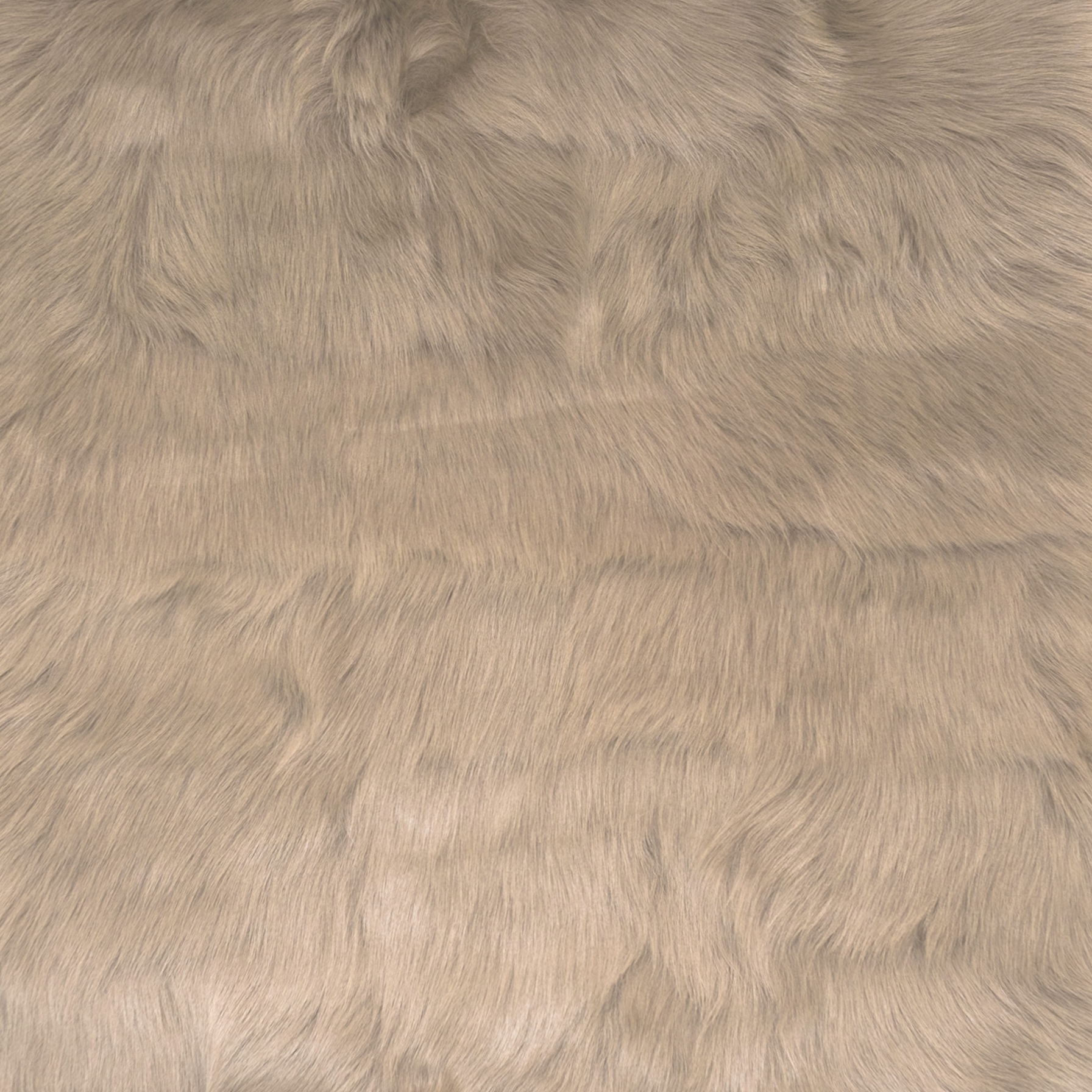 Cortina Fabric