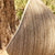 Reed (2-8828)