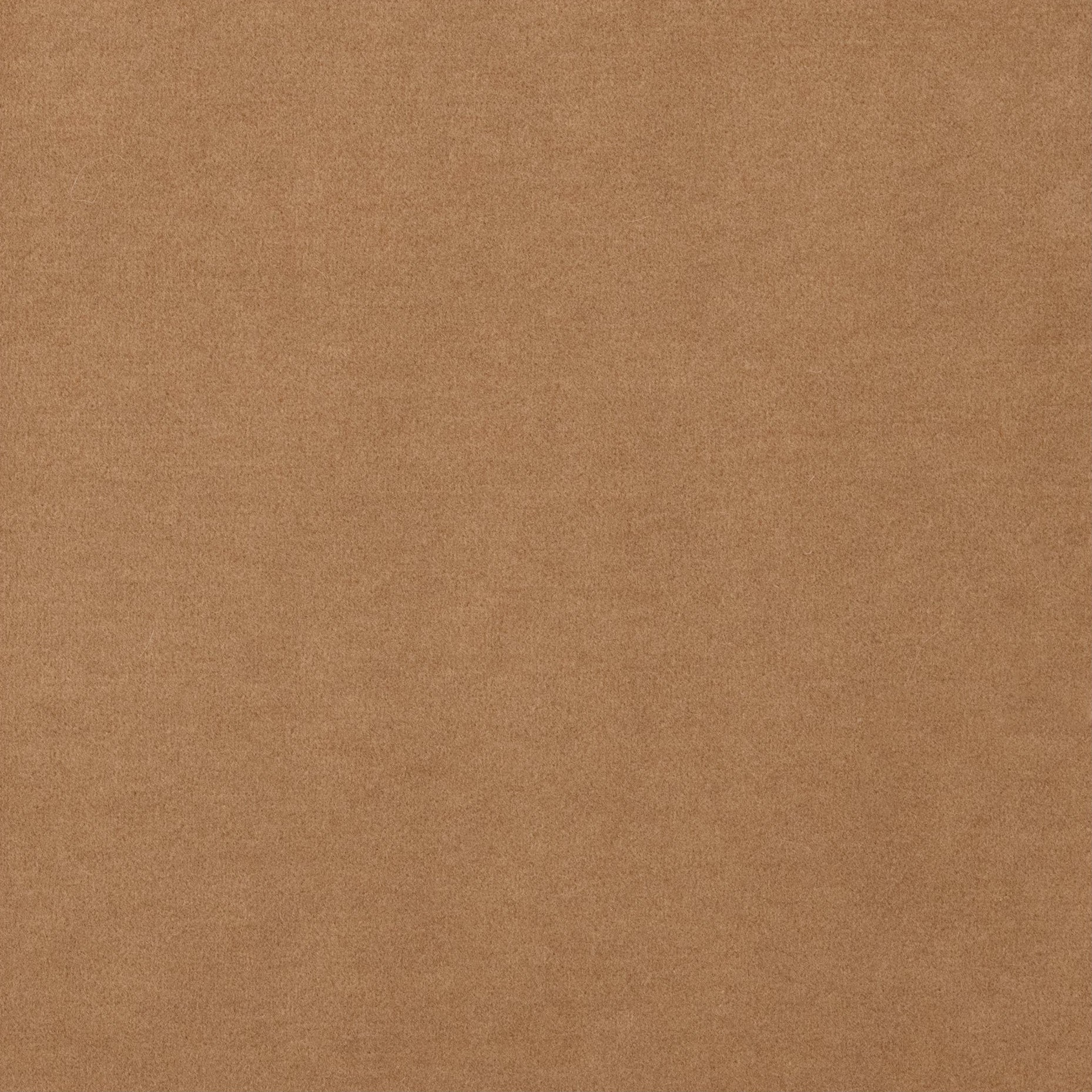 Bardot Fabric