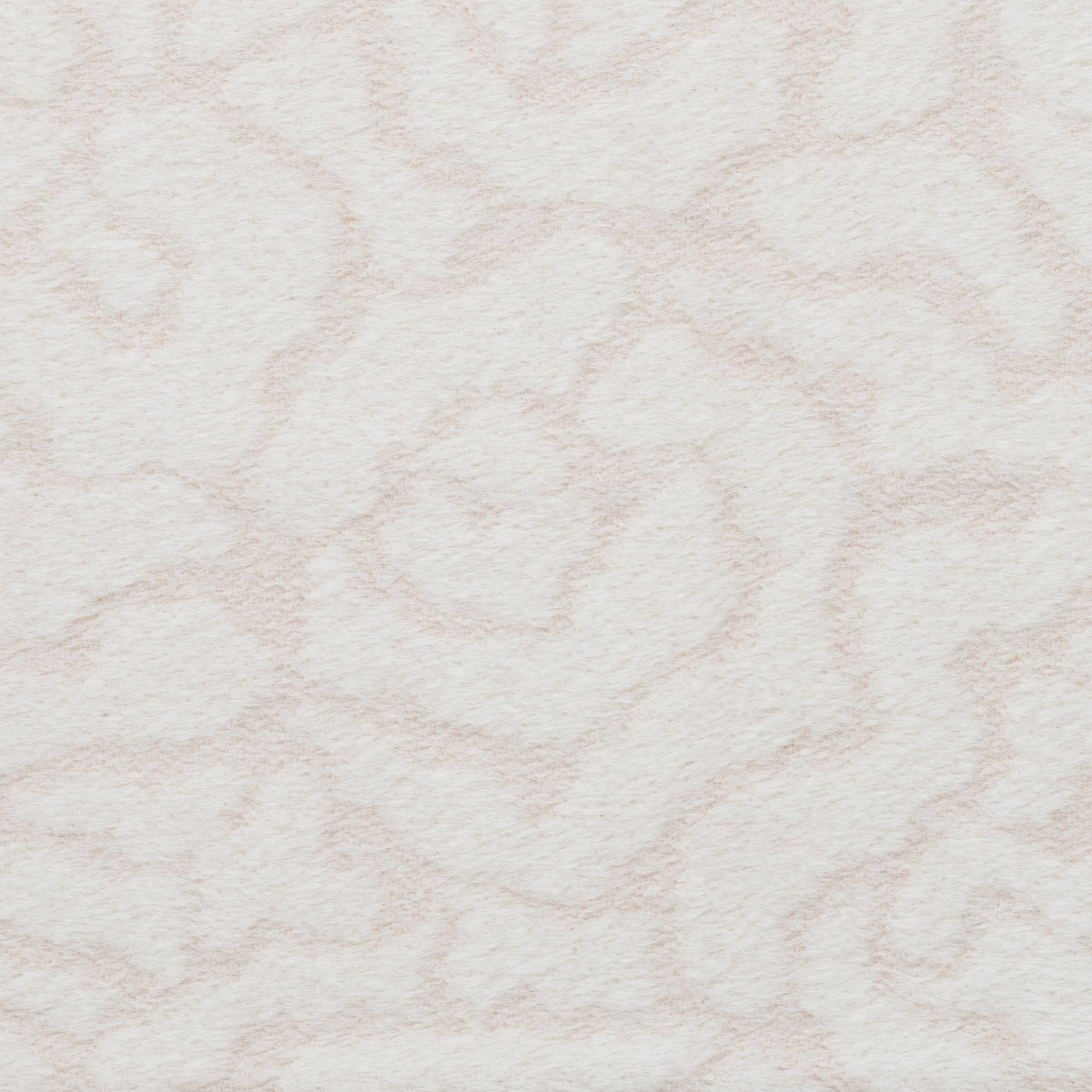 Jasmine (2-8331)
