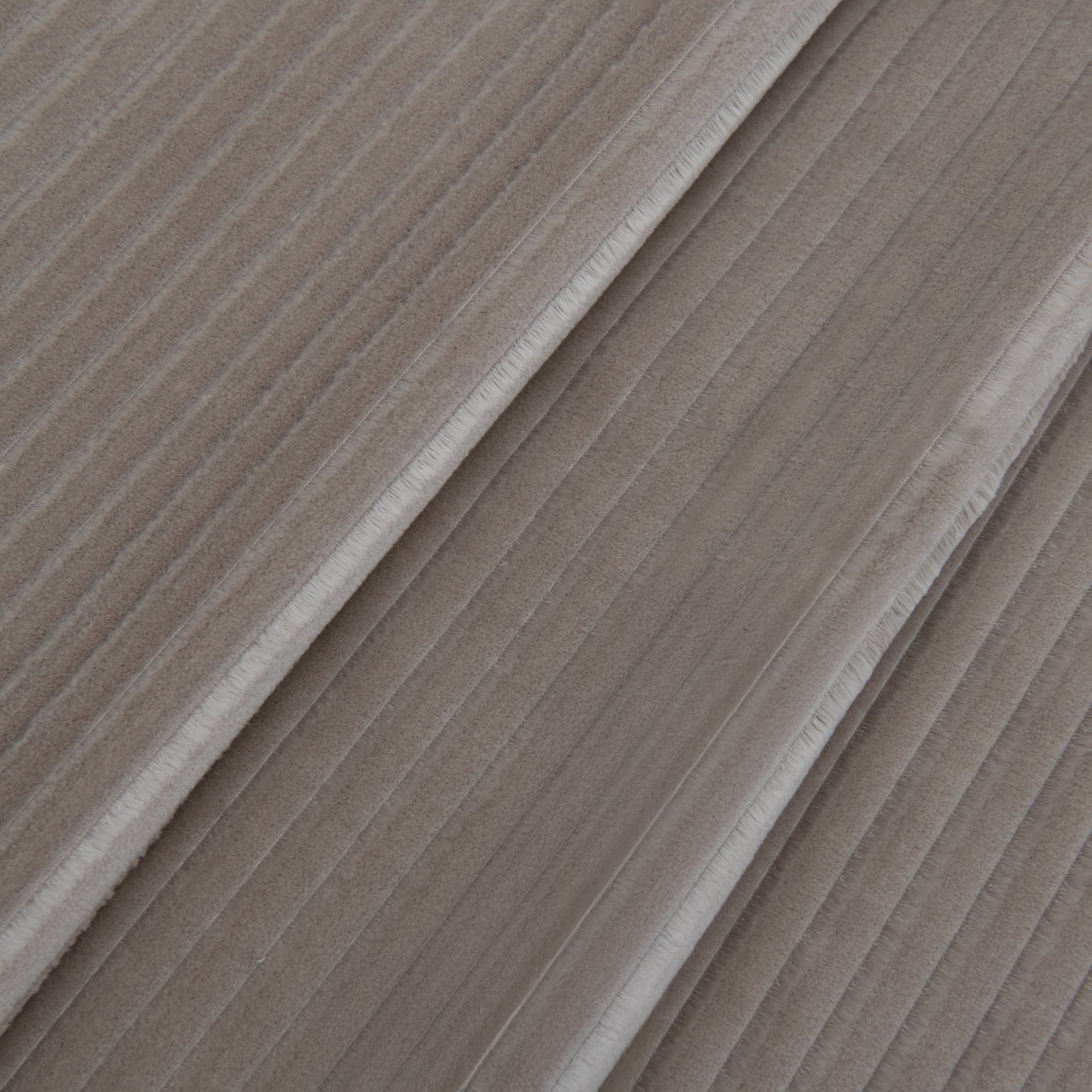 Oyster Shell (2-8529)