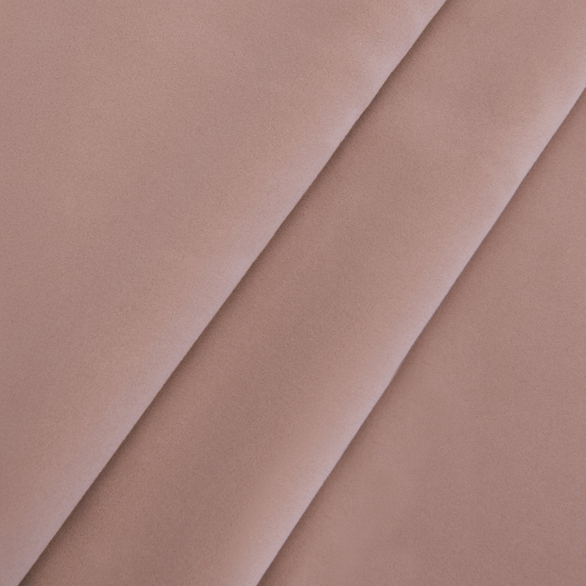 Petal (2-8534)