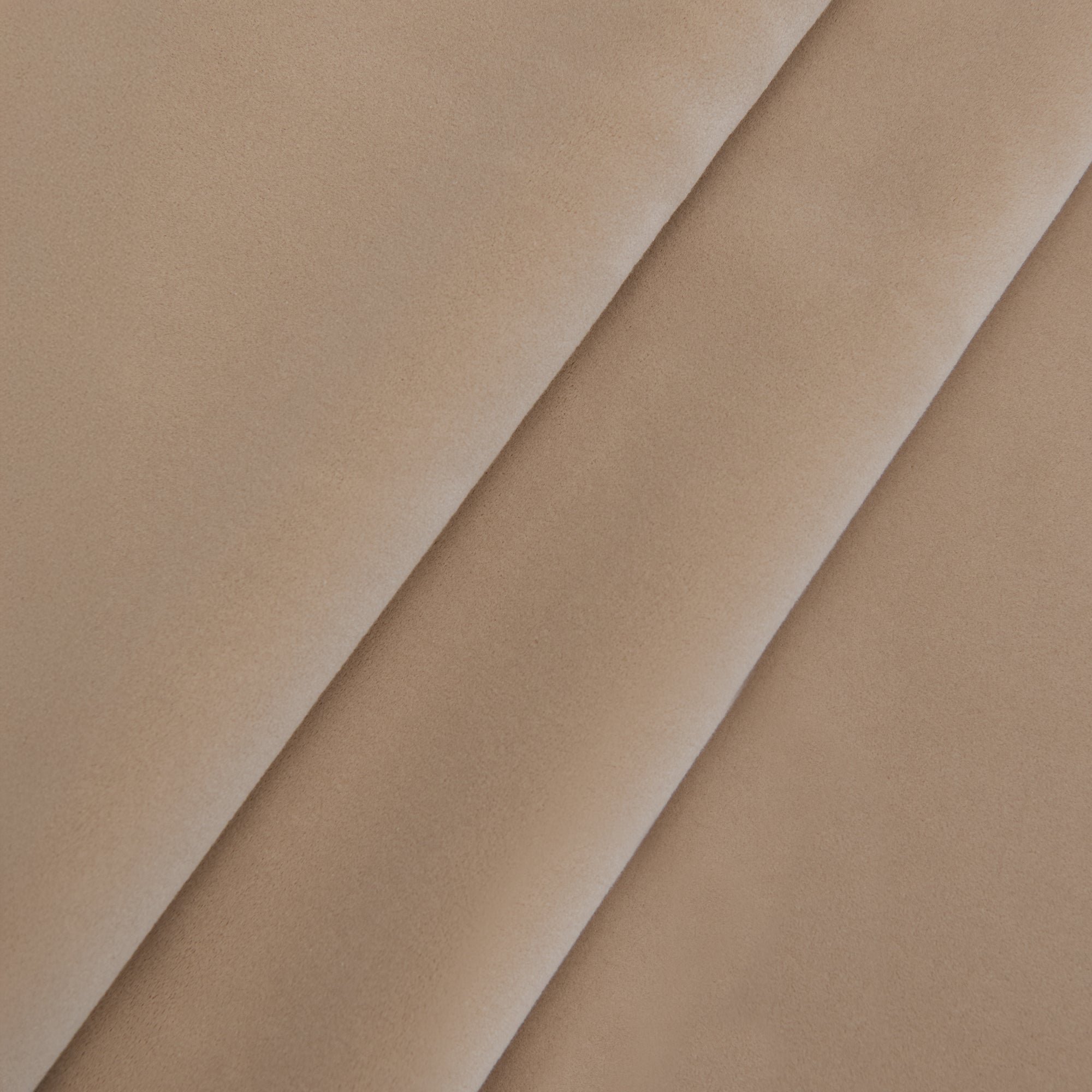 Toasted Almond (2-8579)