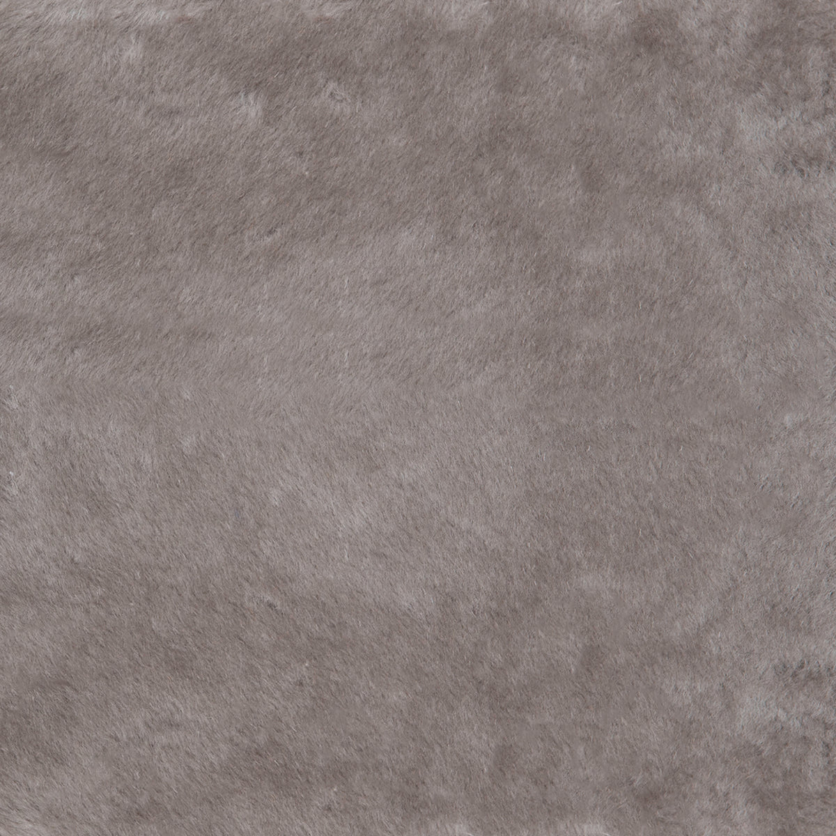 Caribou (2-5722-P)