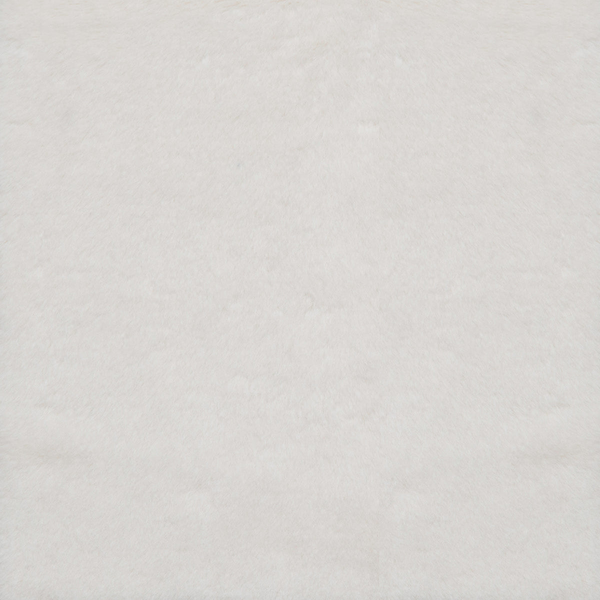 Ibis (2-5580-P)