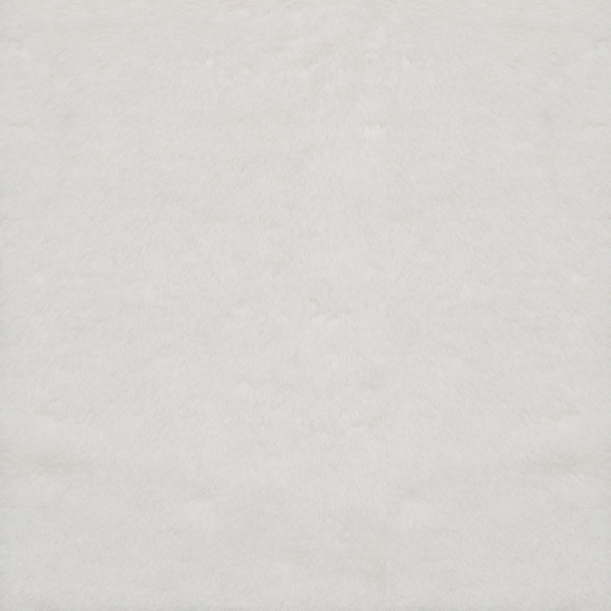 Ibis (2-5580-P)