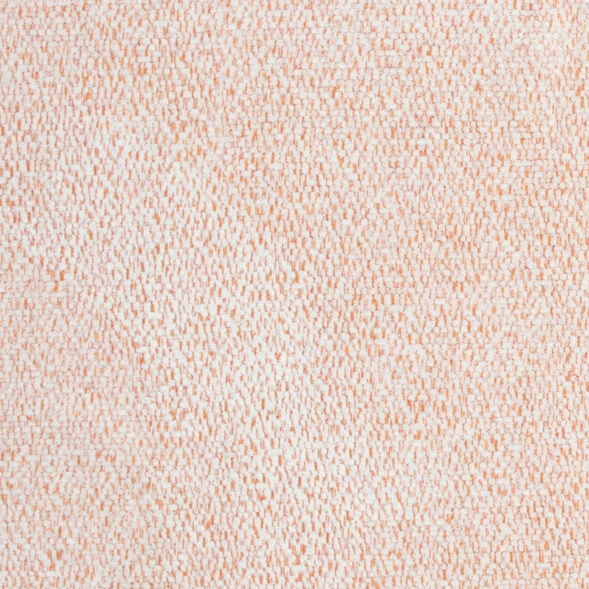 Creamsicle (2-6385)