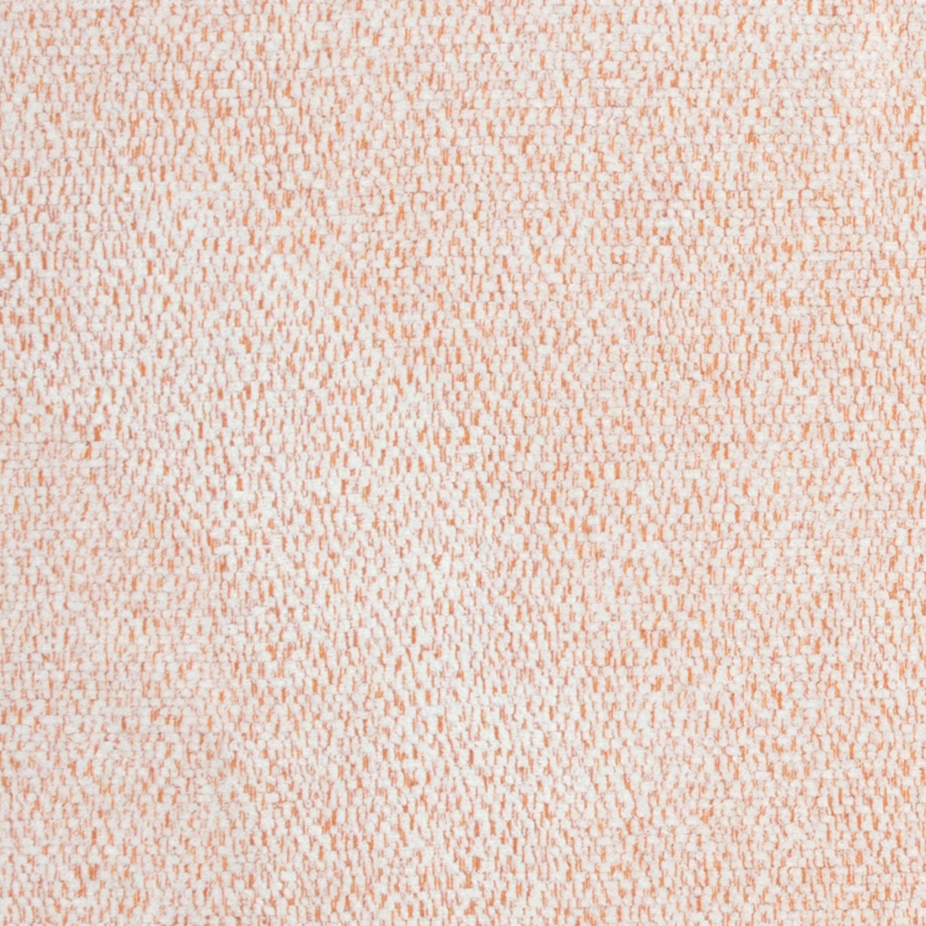 Creamsicle (2-6385)