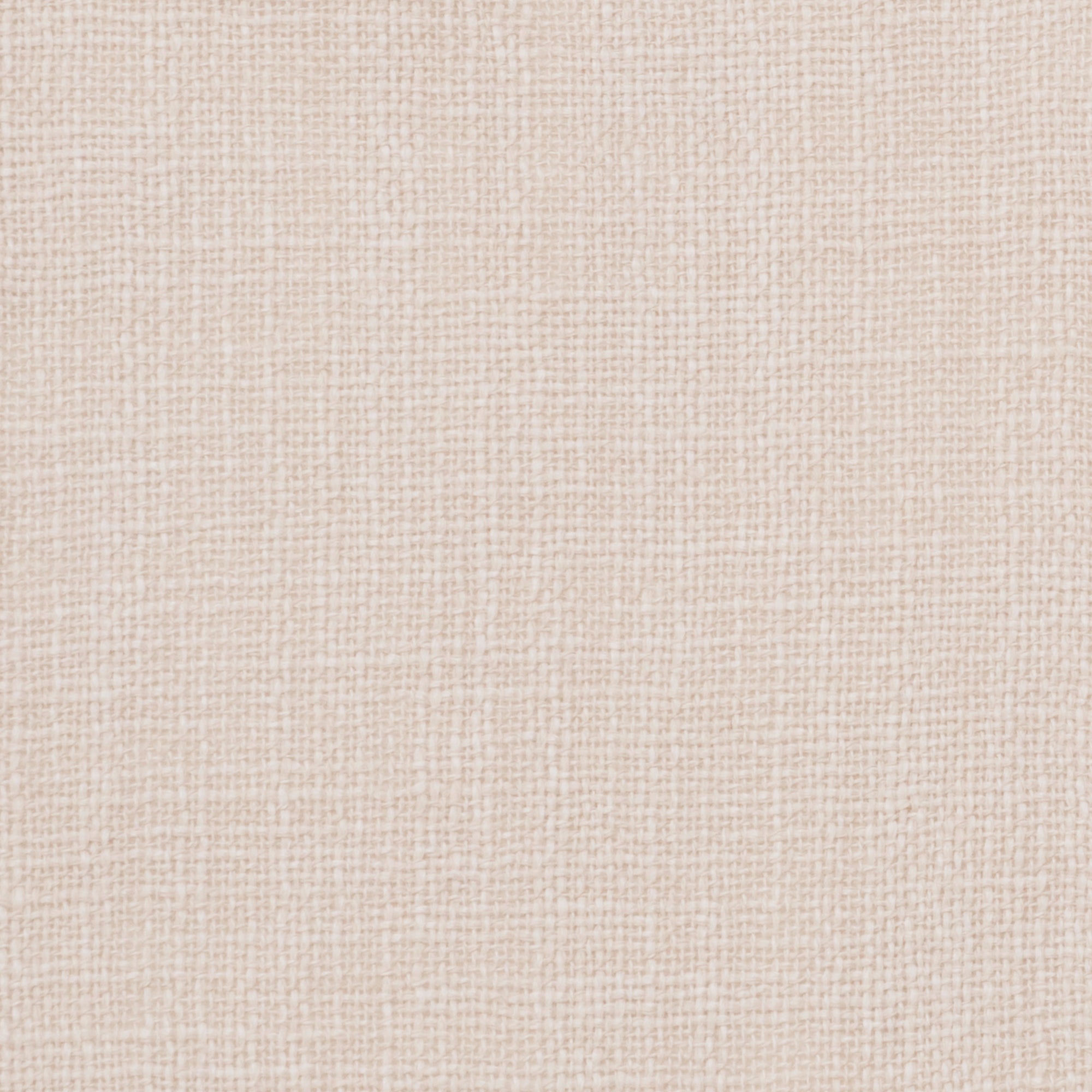 Mallow (2-6419)