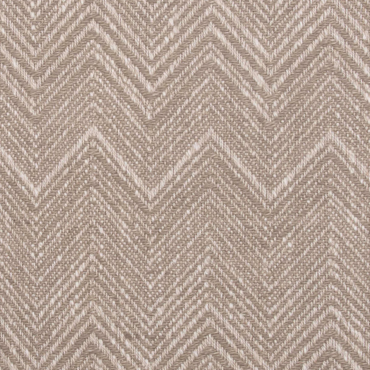 Taro Fabric Discounted