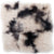 Pluto (1-6942)
