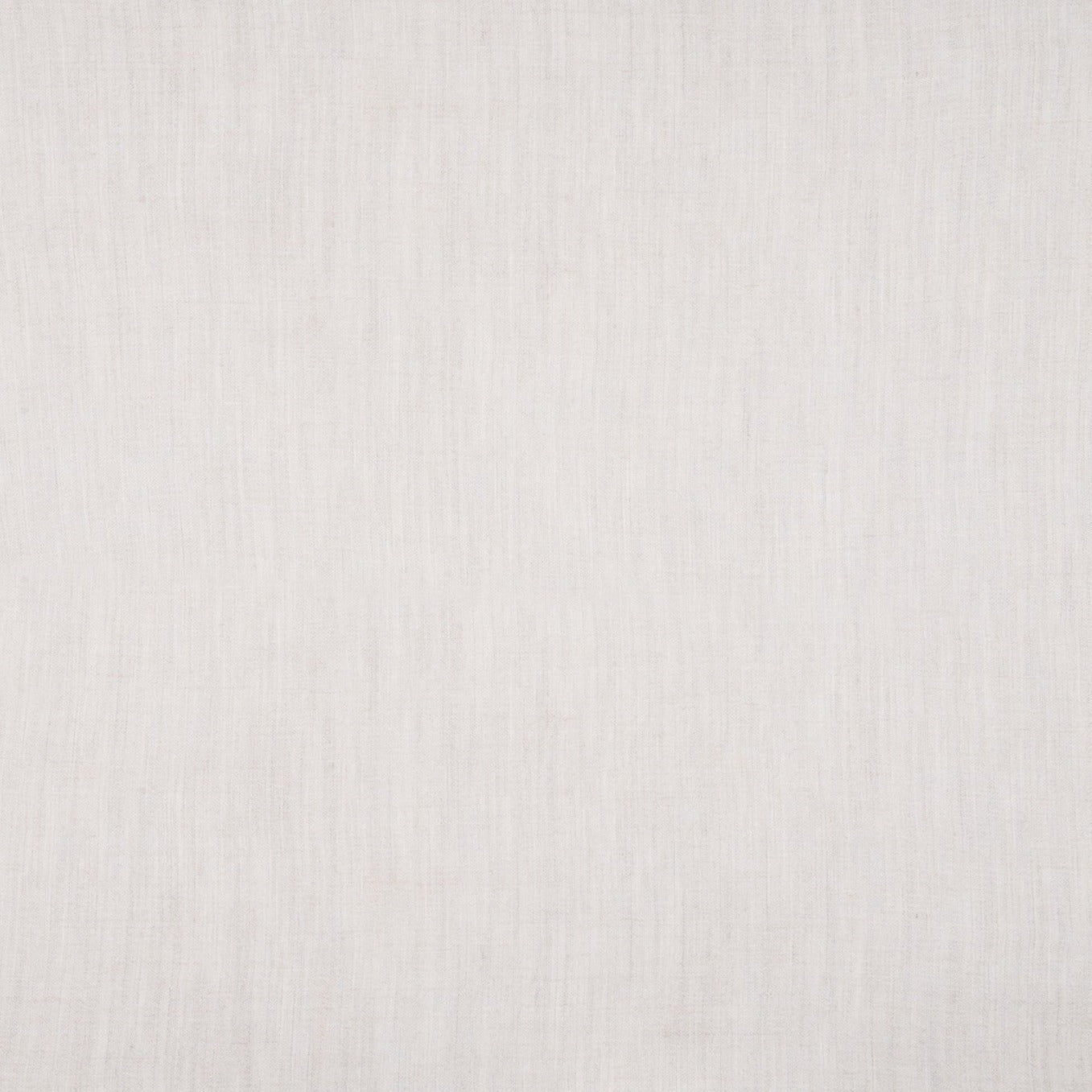 Silver Birch (2-3403)